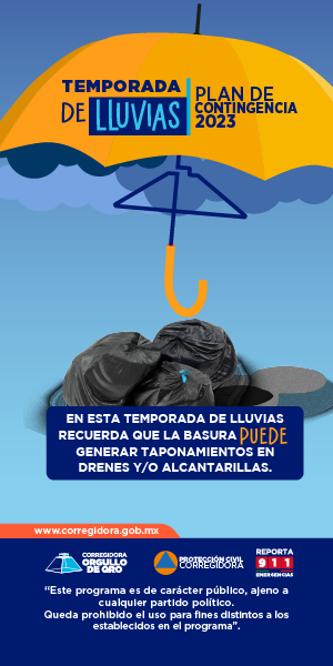 300X600_LLUVIAS_1